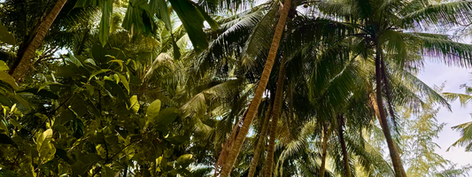 What is Slow Fashion? And Why It Matters for Billie Swim